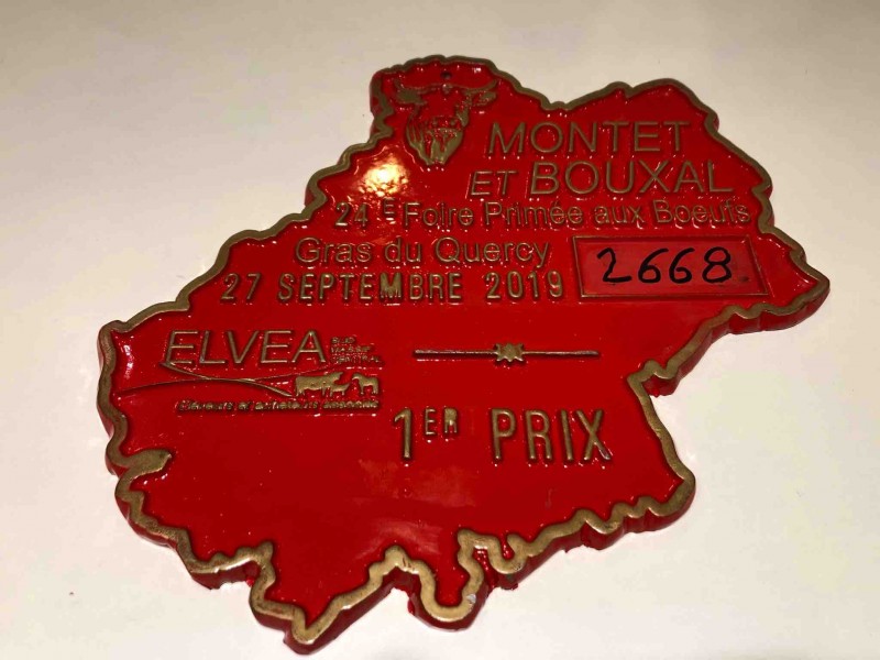 Une bête de concours pour les fêtes de fin d’année à la Boucherie des Collines proche de La Valentine