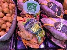 Nos prestations sur le secteur de Aubagne dans les Bouches-du-Rhône 13005