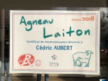 Nos prestations sur le secteur de Carnoux dans les Bouches-du-Rhône 13470